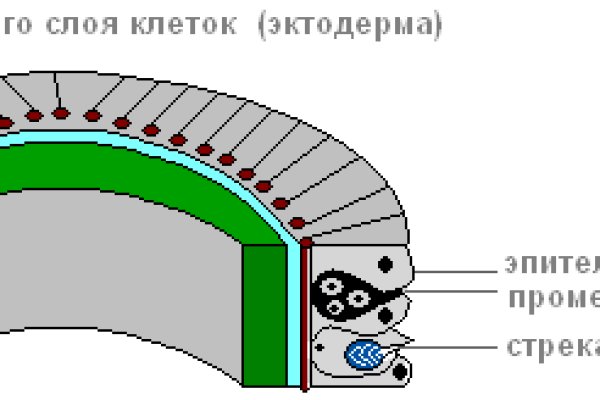 Kraken ссылка официальная