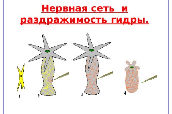 Ссылка на кракен через тор