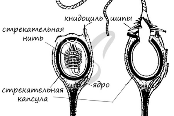 Ссылка на кракен 14ат